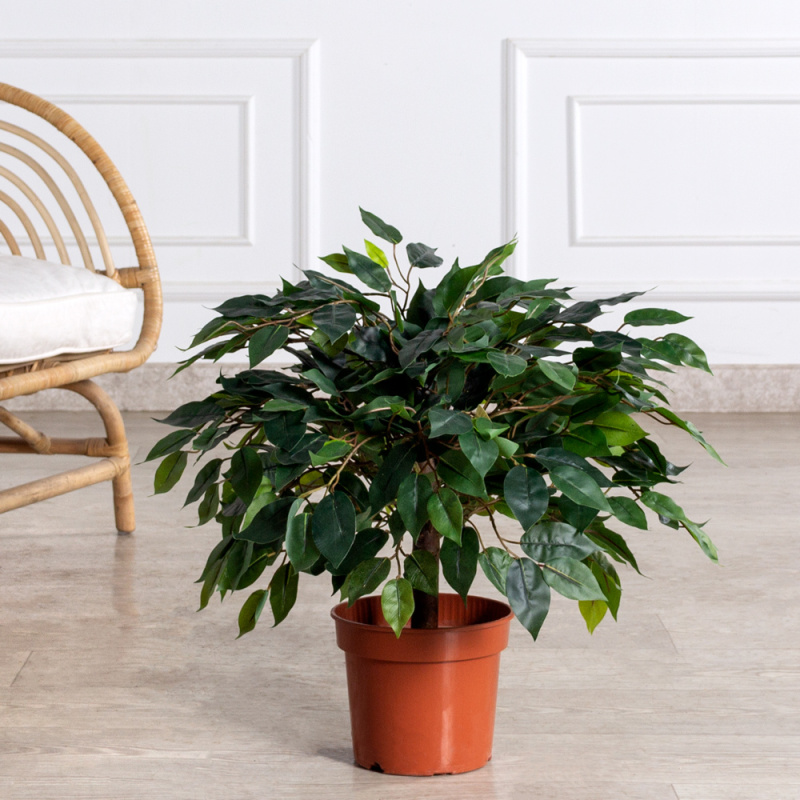 050/РН/34(з)(F) Фикус искусственный h50см в кашпо, латекс