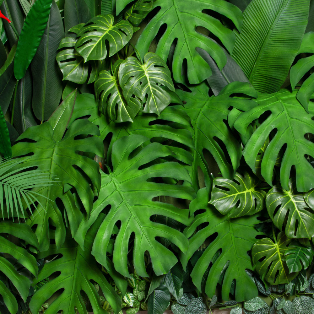 ФТС100(Пр)(F) Фитостена, за 1кв.м_6