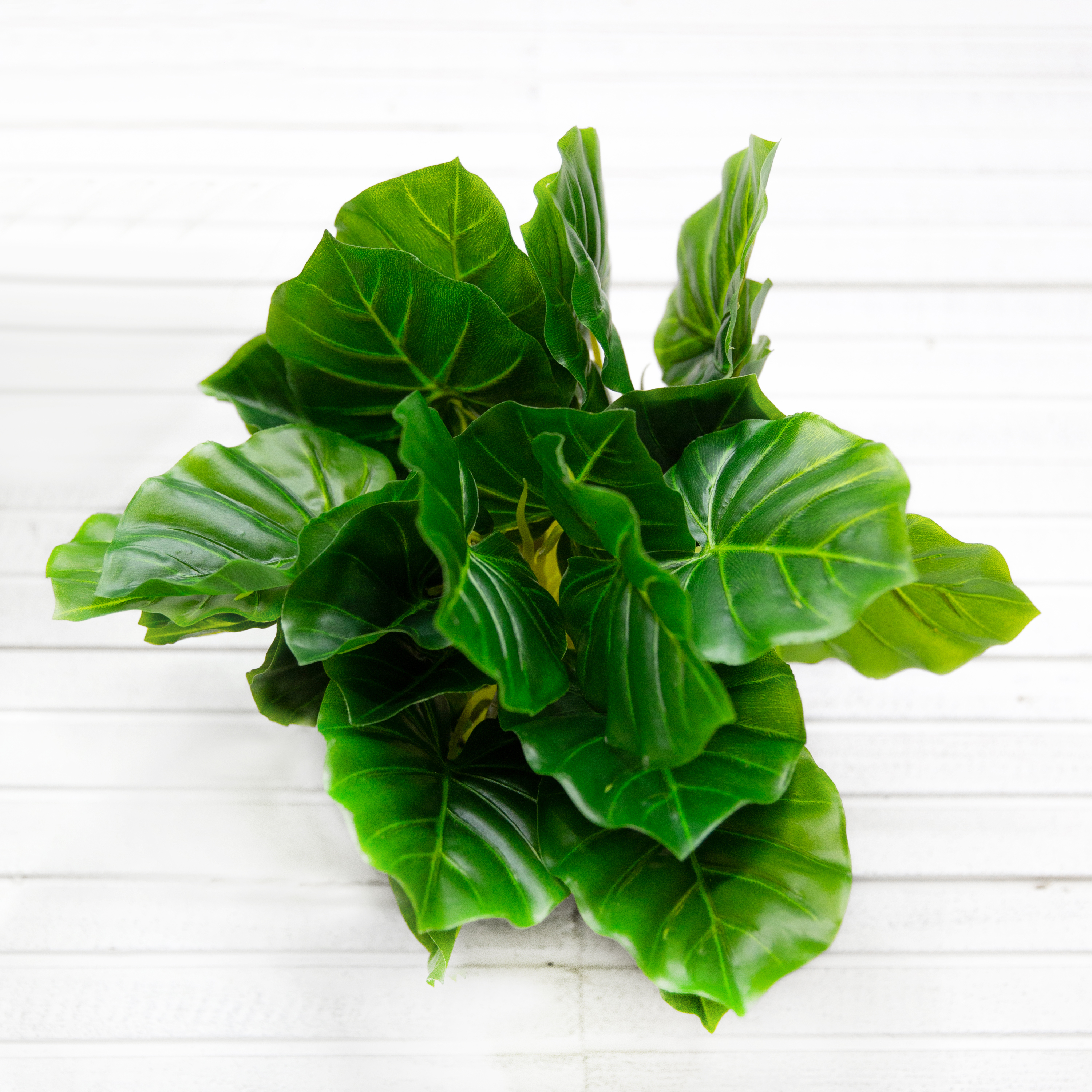 ВМ21/1(з.) Вставка с калатеей h32см, 12*12см (латекс)_11