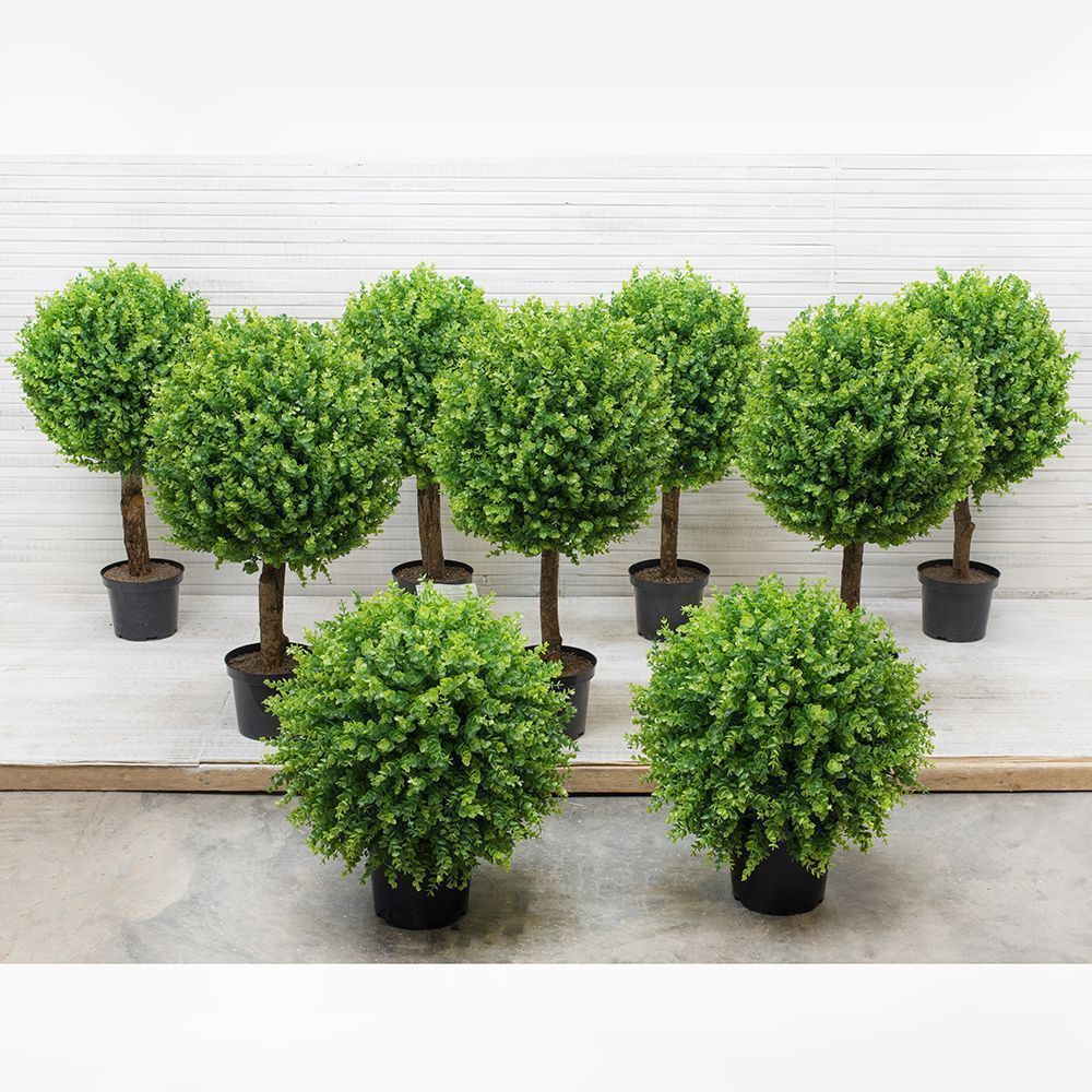 СШ85/228/1(з.) _1