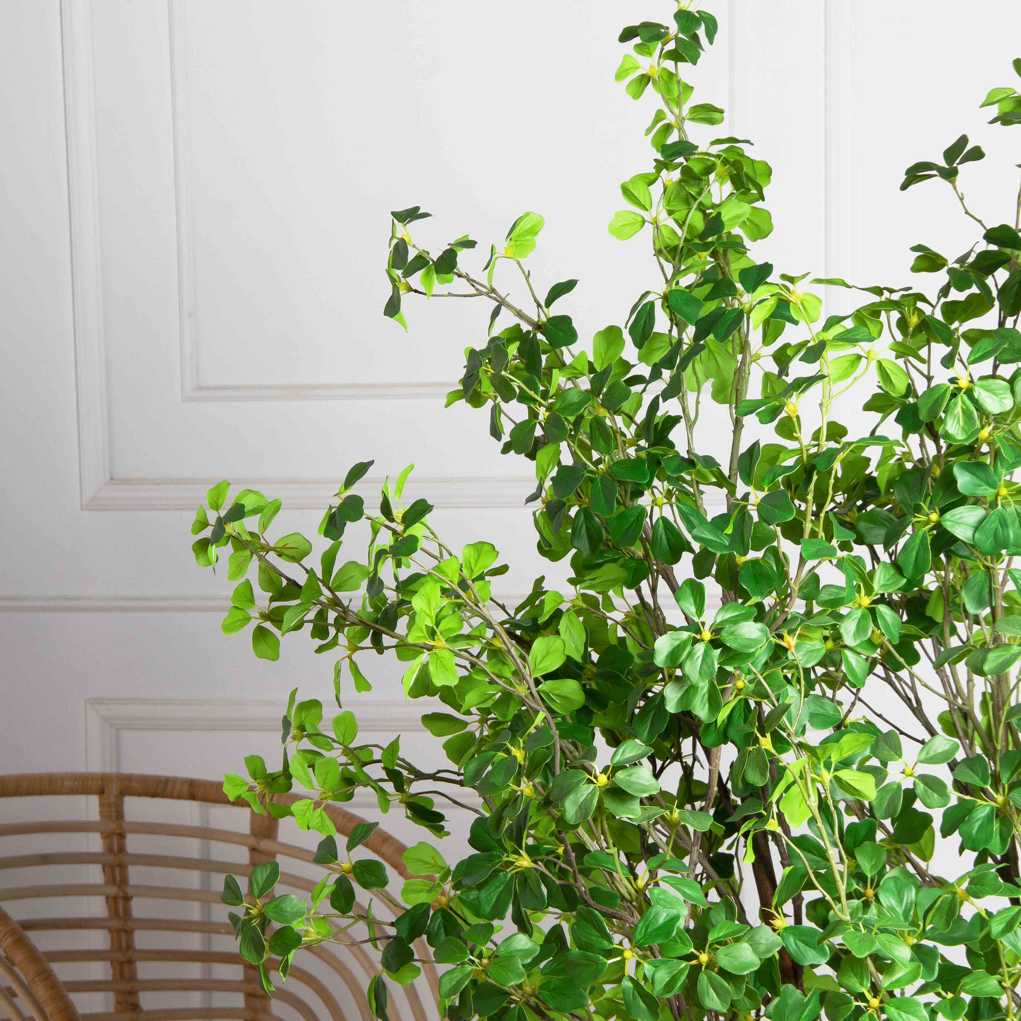 150/РН/ОК/534-1(з)(F) Шеффлера искусственная Компакта h150см d80см в кашпо, латекс_6