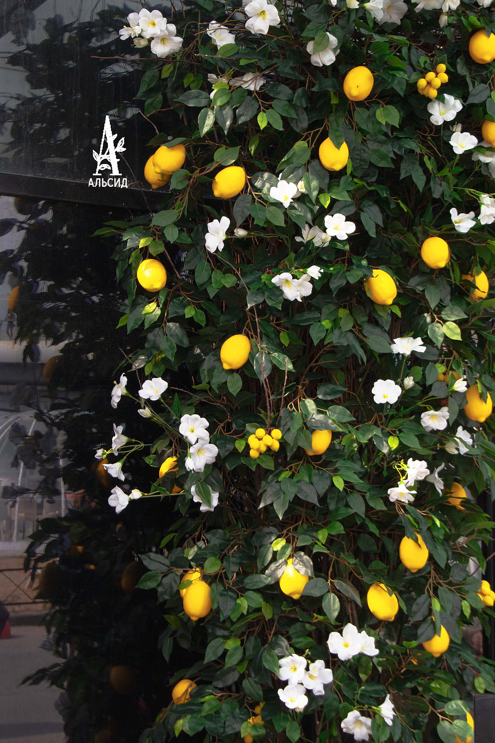 Moremi лето | Санкт-Петербург