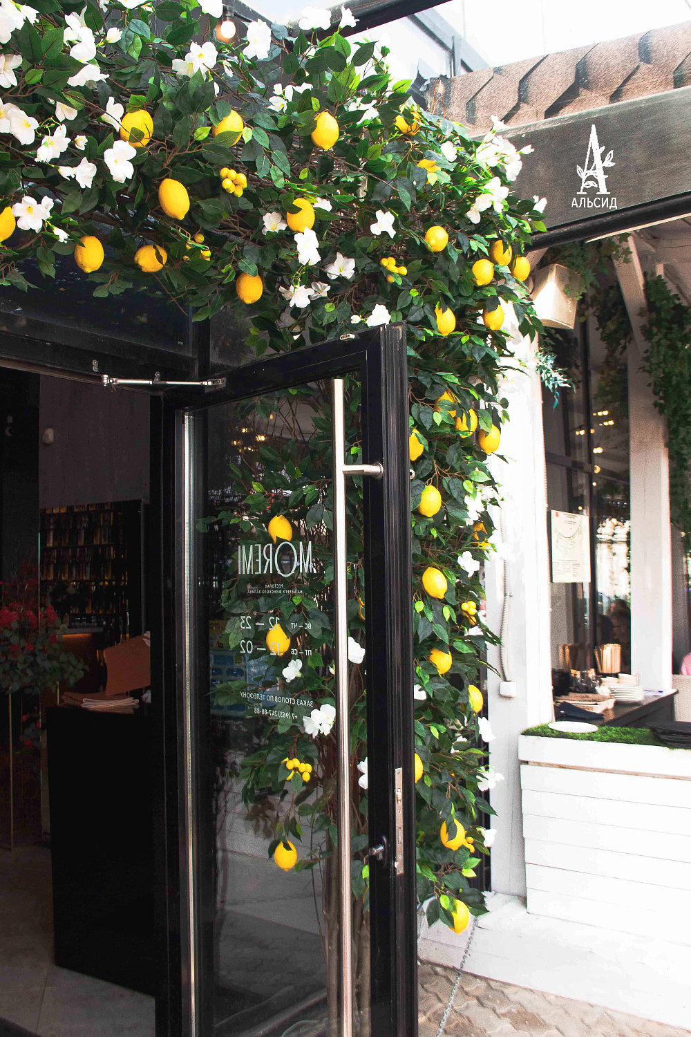 Moremi лето | Санкт-Петербург