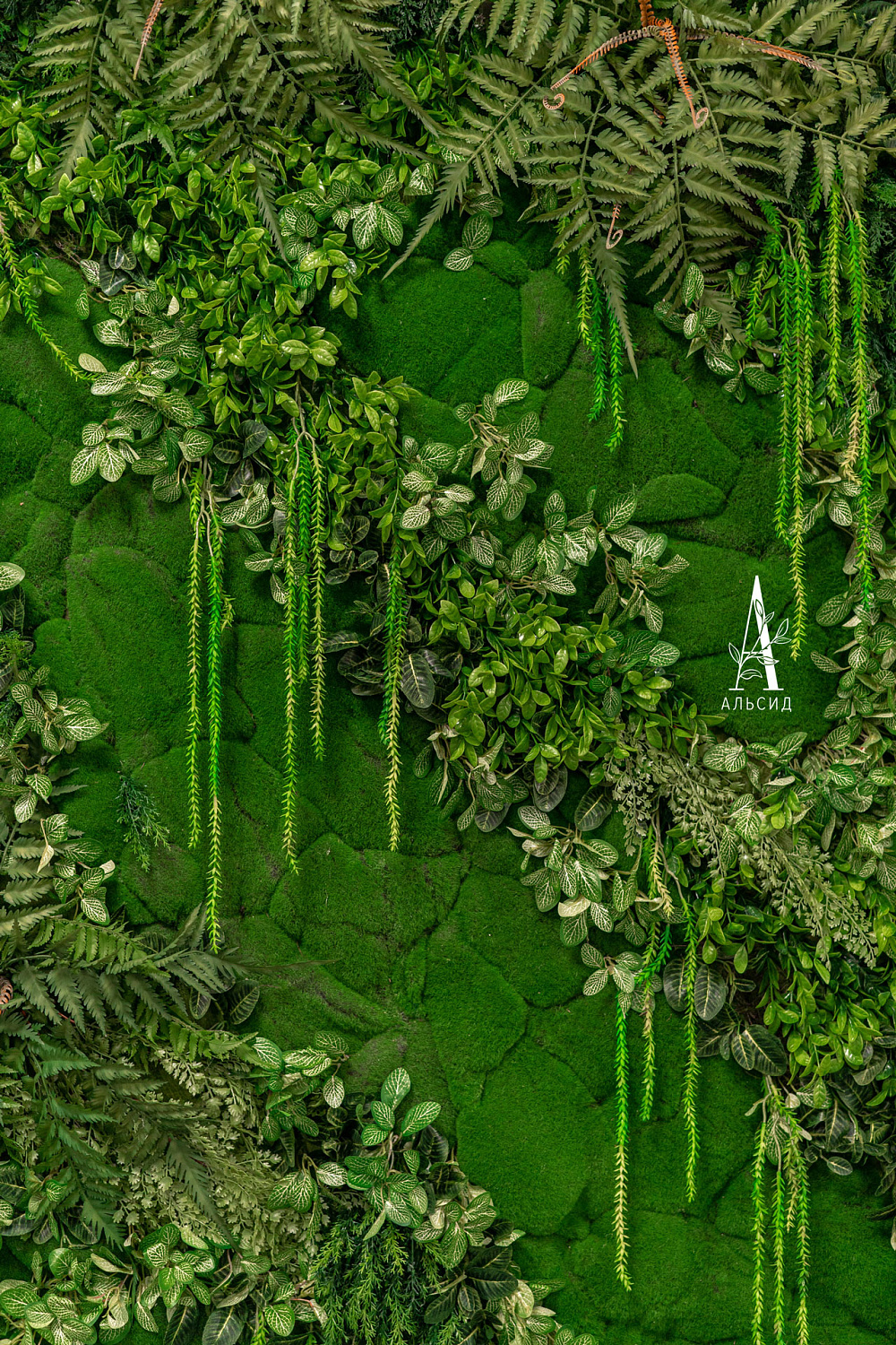 Kamaz | Москва