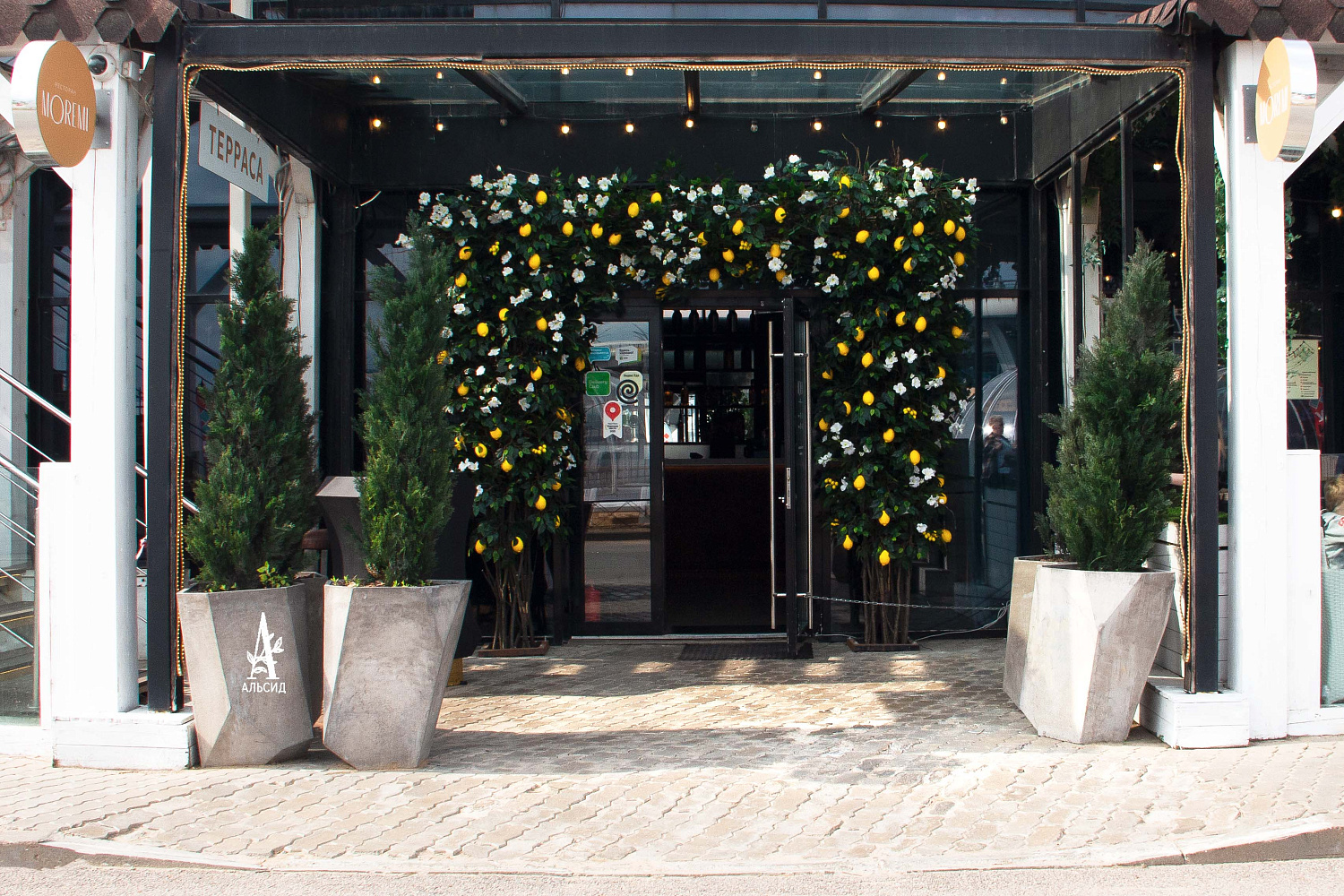 Moremi лето | Санкт-Петербург