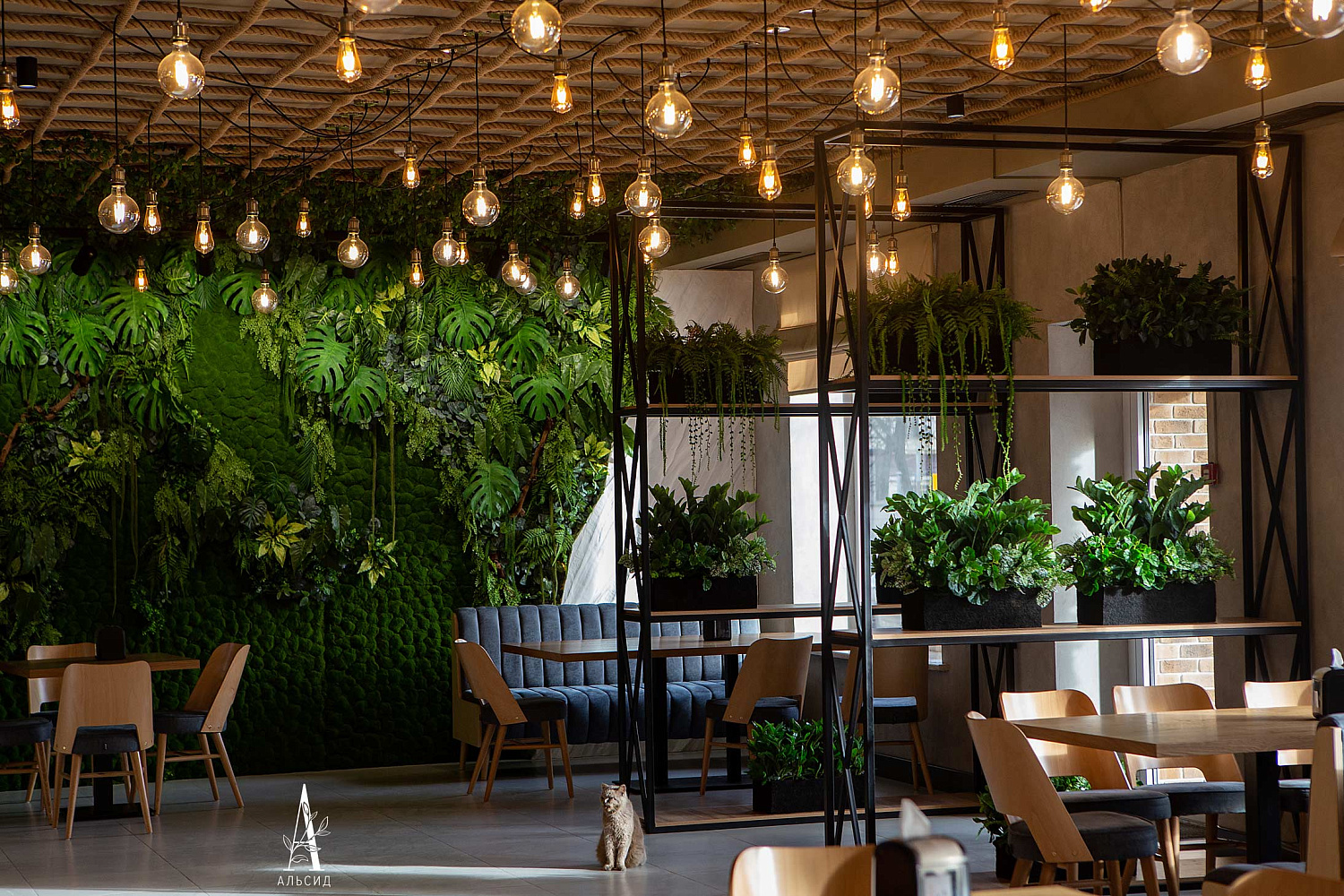 McHouse | Гудермес