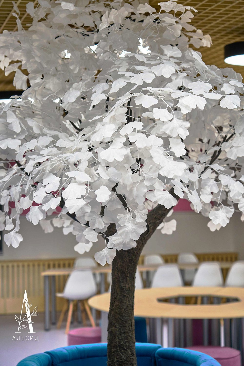 Образовательное учреждение | Казань