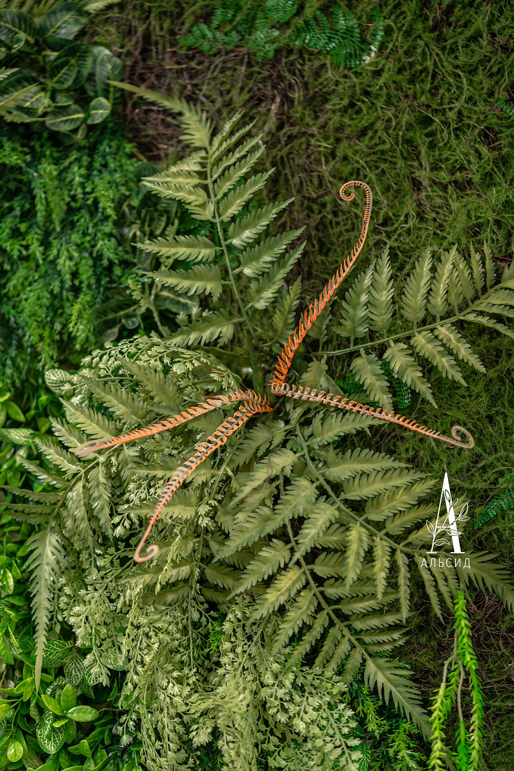 Kamaz | Москва