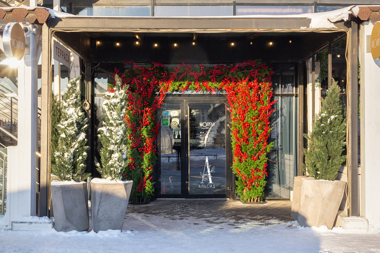 Moremi | Санкт-Петербург