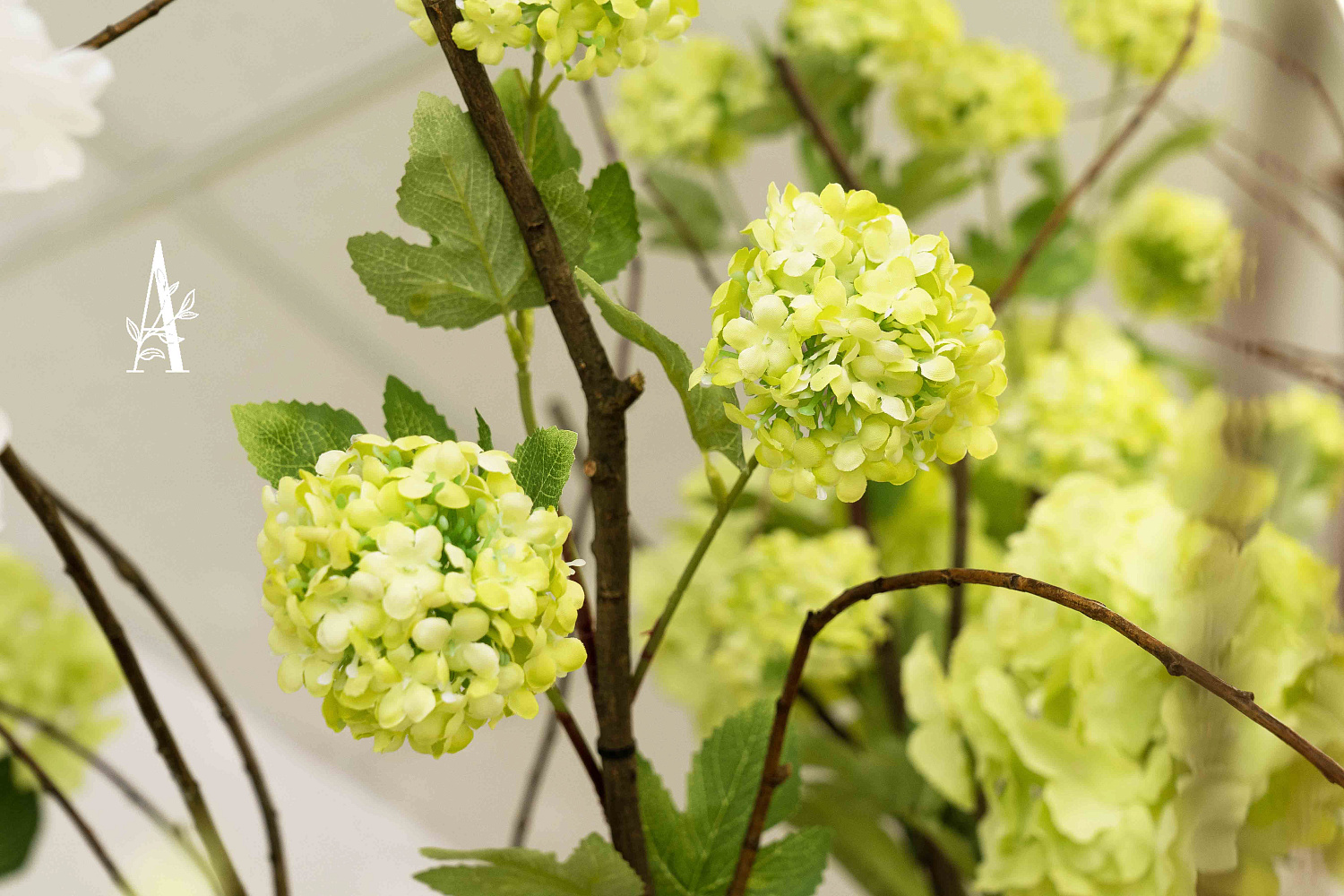 Перинатальный центр | Гатчина