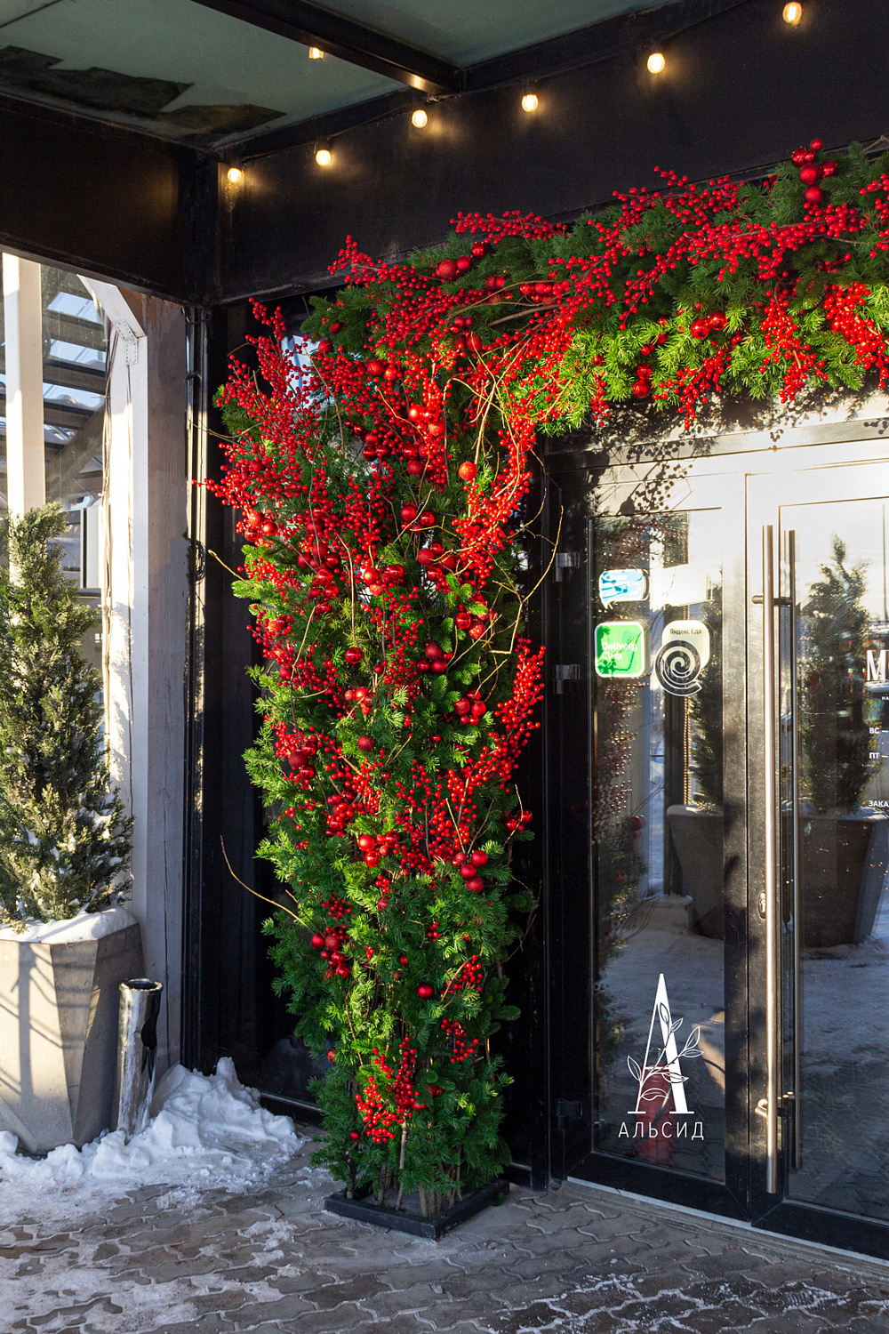 Moremi | Санкт-Петербург